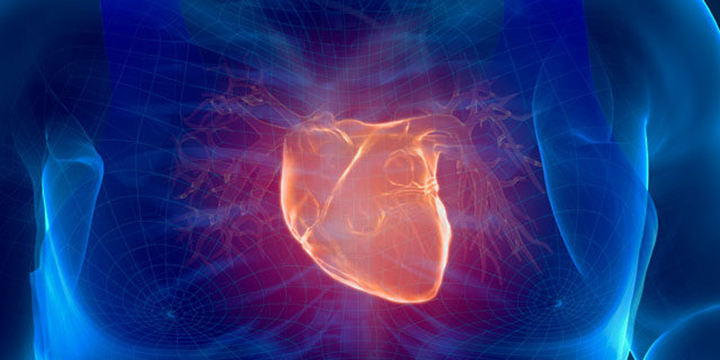 &Alpha;&rho;&theta;&rho;&omicron;&gamma;&rho;&alpha;&phi;ί&alpha; - &Nu;&iota;&kappa;ό&lambda;&alpha;&omicron;&sigmaf; &Kappa;&alpha;&delta;ό&gamma;&lambda;&omicron;&upsilon; | Nikolaos Kadoglou