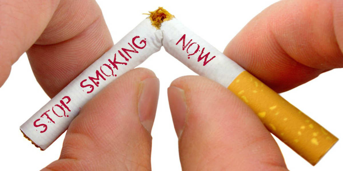 &Alpha;&rho;&theta;&rho;&omicron;&gamma;&rho;&alpha;&phi;ί&alpha; - &Nu;&iota;&kappa;ό&lambda;&alpha;&omicron;&sigmaf; &Kappa;&alpha;&delta;ό&gamma;&lambda;&omicron;&upsilon; | Nikolaos Kadoglou