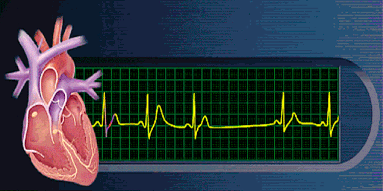 &Delta;&upsilon;&nu;&alpha;&mu;&iota;&kappa;ό &Eta;&chi;&omega;&kappa;&alpha;&rho;&delta;&iota;&omicron;&gamma;&rho;ά&phi;&eta;&mu;&alpha; (Stress Echo) - &Nu;&iota;&kappa;ό&lambda;&alpha;&omicron;&sigmaf; &Kappa;&alpha;&delta;ό&gamma;&lambda;&omicron;&upsilon; | Nikolaos Kadoglou