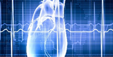 &Delta;&upsilon;&nu;&alpha;&mu;&iota;&kappa;ή &eta;&chi;&omega;&kappa;&alpha;&rho;&delta;&iota;&omicron;&gamma;&rho;&alpha;&phi;ί&alpha; (Stress Echo)