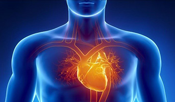 &Delta;&iota;&alpha;&chi;&epsilon;ί&rho;&iota;&sigma;&eta; &alpha;&sigma;&theta;&epsilon;&nu;ώ&nu; &mu;&epsilon; &kappa;&lambda;&eta;&rho;&omicron;&nu;&omicron;&mu;&iota;&kappa;έ&sigmaf; &mu;&upsilon;&omicron;&kappa;&alpha;&rho;&delta;&iota;&omicron;&pi;ά&theta;&epsilon;&iota;&epsilon;&sigmaf;